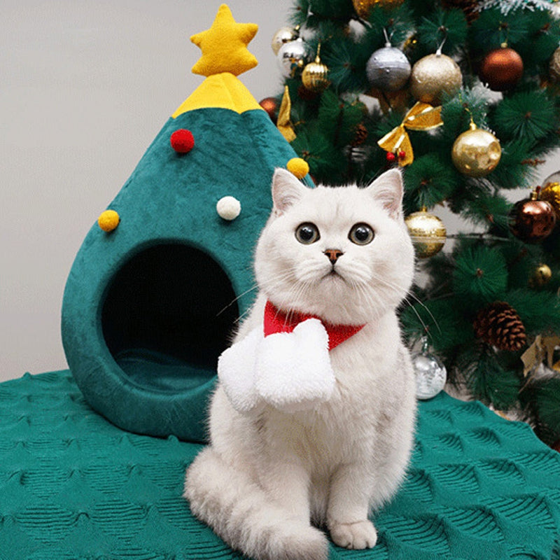 Casinha de Gatos Personalida Para o Natal - lojastmt