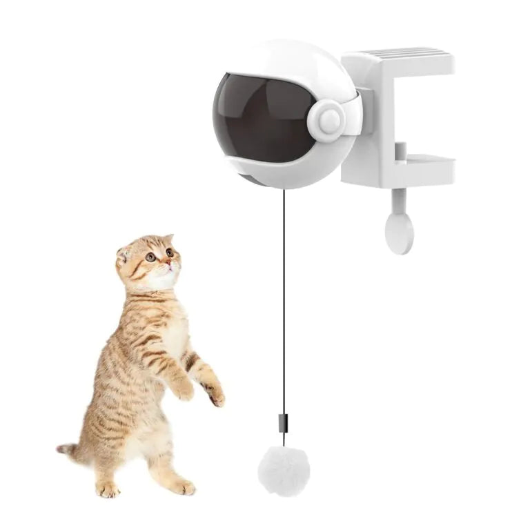 Brinquedo Eletrônico EletricBall™ Para Gatos - lojastmt